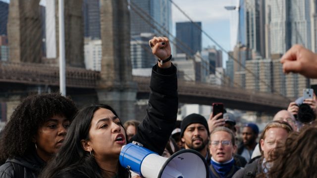New York Elections: The Impact of Rising Progressive Voices