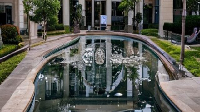 New Allegations Surround Damage to Iconic Reflecting Pool | pergerakan catur, gameonline free, horas