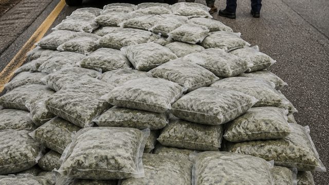 Major Drug Bust on I-40: Arkansas State Police Seize 190 Pounds of Marijuana | situs303, slot pantur