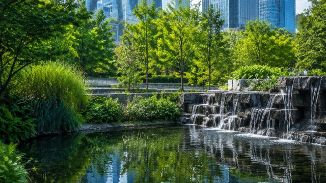 Rethinking Water Features: A Fresh Perspective on Urban Ecosystems