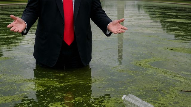 Trump's Algae Crisis: Implications Beyond the Reflecting Pool