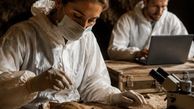 Unveiling Ancient Human DNA: A Breakthrough in Cave Studies